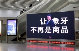 野生救援联合虎童科技地铁大屏媒体,呼吁拯救濒危野生动物 野生救援联合虎童科技地铁大屏媒体,呼吁拯救濒危野生动物
