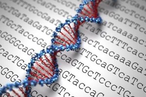 辟谣普通人应该做癌症基因检测以预防癌症医学专家告诉你真相 辟谣普通人应该做癌症基因检测以预防癌症医学专家告诉你真相