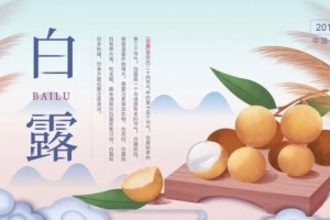 节气养生｜白露就要吃这些润肺益气不上火!远离秋季感冒~