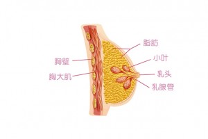 有些乳腺增生其实是癌很容易误诊误治得重视！