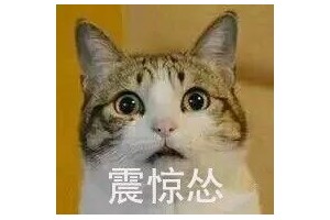 粥面条猴菇真正的养胃秘方竟然是它 粥面条猴菇真正的养胃秘方竟然是它