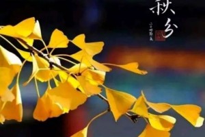 秋分至秋意浓进补有度勿过量 秋分至秋意浓进补有度勿过量
