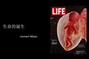 真实的宝宝在子宫里长什么样太震撼了……
