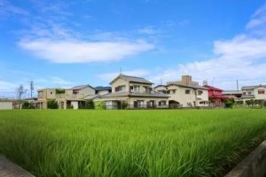 智者乐水仁者乐山您知道吗旅游观光也是养生妙招 智者乐水仁者乐山您知道吗旅游观光也是养生妙招