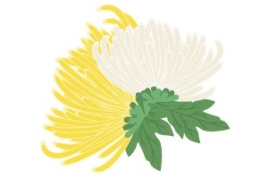 一图读懂老年失能预防核心信息 一图读懂老年失能预防核心信息