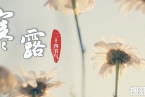 寒露饮食推荐首选大闸蟹~ 寒露饮食推荐首选大闸蟹~