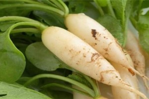 女性养生推荐4种食物延缓衰老养护血管有益健康 女性养生推荐4种食物延缓衰老养护血管有益健康