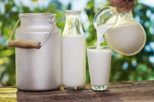 生牛奶巴氏奶常温奶哪种更好呢营养师保质期长短有区别 生牛奶巴氏奶常温奶哪种更好呢营养师保质期长短有区别