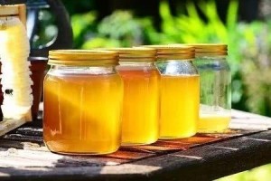 喝蜂蜜水对身体优点多可早晨喝仍是晚上喝营养师午饭后最好 喝蜂蜜水对身体优点多可早晨喝仍是晚上喝营养师午饭后最好
