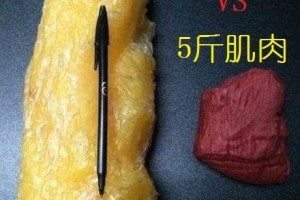 身材苗条也会患肥壮病一分钟就知道是否患隐形肥壮 身材苗条也会患肥壮病一分钟就知道是否患隐形肥壮