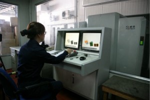 上海口岸再次截获麦类杀手小麦印度腥黑穗病菌 上海口岸再次截获麦类杀手小麦印度腥黑穗病菌