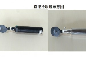 直接检眼镜注册技能检查辅导准则 直接检眼镜注册技能检查辅导准则
