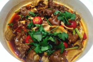 一切菜系均以竹宝为主要原料的熊猫宴在贵阳新鲜出炉