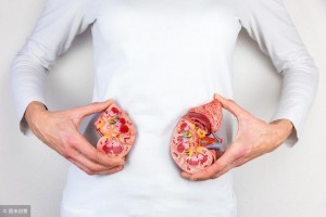 肾结石多大需求动手术留意4个饮食忌讳对排石有协助 肾结石多大需求动手术留意4个饮食忌讳对排石有协助