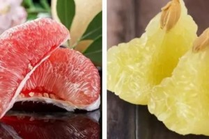 男人狂吃蜜柚一周竟瘫痪了蜜柚千万别和它一同吃… 男人狂吃蜜柚一周竟瘫痪了蜜柚千万别和它一同吃…
