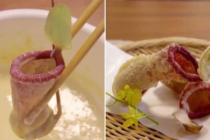 日推最新下酒菜猪笼草天妇罗外观超猎奇塞满白米拿去蒸也好吃