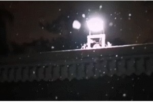 雪天跟骨科大夫学习防跌倒的走路姿态 雪天跟骨科大夫学习防跌倒的走路姿态