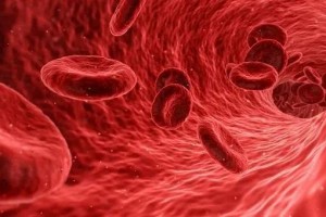 重组人凝血因子VIII临床试验招募重型血友病患者60人 重组人凝血因子VIII临床试验招募重型血友病患者60人