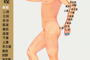 多多敲以下部位有利身体健康 多多敲以下部位有利身体健康