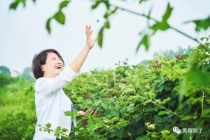 「找到生命最好的存在方法」——黑莓熟了创始人毛愉得的六年创业进程 「找到生命最好的存在方法」——黑莓熟了创始人毛愉得的六年创业进程