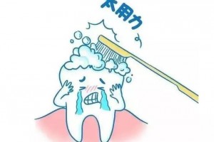 勤刷牙就能确保牙齿持久健康 勤刷牙就能确保牙齿持久健康