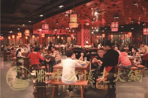 重庆火锅店哪家好吃好吃不上火求重庆火锅引荐这家轻松降服你的胃 重庆火锅店哪家好吃好吃不上火求重庆火锅引荐这家轻松降服你的胃