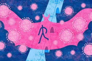 蝙蝠体内又现多种新的冠状病毒是谁打翻了潘多拉的魔盒 蝙蝠体内又现多种新的冠状病毒是谁打翻了潘多拉的魔盒
