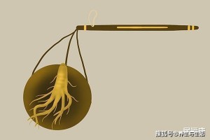 为什么说人参杀人人不知大黄救人人不必有何深层意义 为什么说人参杀人人不知大黄救人人不必有何深层意义
