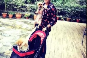婚后放纵43岁何润东头秃变油腻男健身人设坍塌一派胡言 婚后放纵43岁何润东头秃变油腻男健身人设坍塌一派胡言