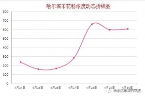 哈尔滨·4月30日花粉实况播报 哈尔滨·4月30日花粉实况播报
