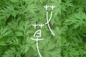 青丝不用去染头了理发师绝不会告知你的黑发技巧医师都说好用 青丝不用去染头了理发师绝不会告知你的黑发技巧医师都说好用