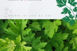 今天小满美好满满 今天小满美好满满