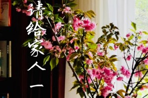 520请给家人一封情书 520请给家人一封情书