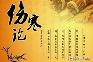 方证是辨证的顶级药症则是顶级上的极点 方证是辨证的顶级药症则是顶级上的极点